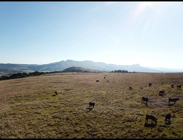 830HA FARM FOR SALE IN DARGLE